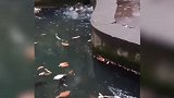 太大了，太大了~额嘀妈呀~
