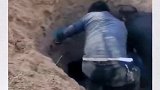 男子将瘫痪老母扔到废弃墓坑，乌鸦反哺羊羔跪乳知母恩