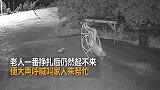 老人院子里坐摇椅当场“翻车” 老伴闻声赶来被逗乐