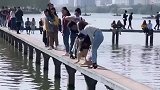 二哈我不游，主人不，你想游