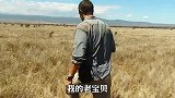 贝爷挑战非洲大草原，全是保护动物，他只能“狮口夺食”！