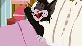 新猫和老鼠：一只有洁癖的猫，它大概是处女座吧！