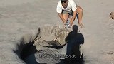 男子发现一个深坑，不断传来嘶叫声，看清后连忙跳了下去
