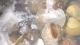 夏天这个汤吃着就是清爽鲜美