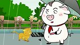 猪屁登：屁登举手之劳，猫咪前来感谢