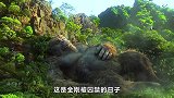 是什么原因？导致人类要建立一个虚假的生态！