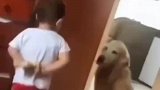 狗子：小子你小看我了