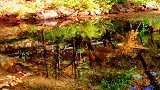 然然水尽山穷，落叶成空，那老去的年华依旧可以风情万种！