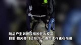 300多斤野猪半夜“从天而降”，闯入厨房咬伤男房主，警方用麻醉枪制服