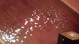 女子酒精撒地上，用香水喷下能去除