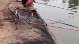 空椅子钓上一个，哥俩半天都拉不上来