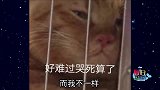 情侣去鬼屋玩竟遇到这种惨事？我害怕鬼！但鬼未伤我分毫…