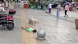 熊孩子神操作，一个比一个牛