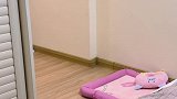 养了一只毛绒玩具狗太快乐了吧