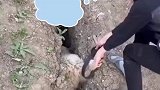 这件事告诉我们一个道理，遇到事情不要慌
