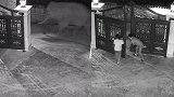 监拍！云南普洱野象夜间进寨闲逛 村民吓得尖叫连连闭门“谢客”