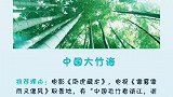 炎炎夏日最适合来一场清凉逼人，世外桃源般竹海之旅