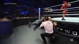 WWE-14年-SD第797期：莱贝克怒干罗林斯走狗乱入DQ-花絮