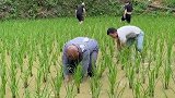 就想抓条鱼回家吃，有这么难吗