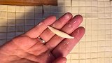 土豆最新吃法，老公看到馋哭了