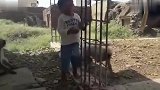 2岁男童与群猴亲密相伴村民把他当神敬仰