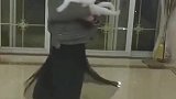 这么魔性的原地转圈，连主人都扛不住，更别说这猫了