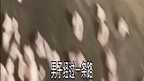 男子经过一条路，路上全是鸡屁股
