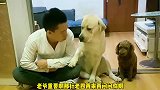 面对姥爷一系列的难题，老四以不变应万变，情商超高