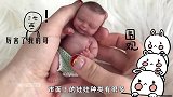 世界上最小的“婴儿”，可以被大人握在手里，号称“治愈系”宝宝