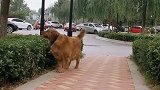 吃完饭出来溜达溜达
