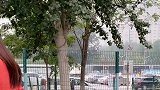 情景剧：祝晓晗好心帮人腾车位，还被人冤枉偷东西，好人难做