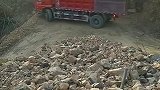 新手看着怕吗
