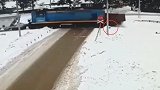 俄罗斯一辆卡车和火车相撞 一只狗狗幸运逃生