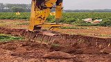 挖掘机挖山药，太费劲了