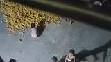 女子患重病，5个孩子凌晨4点悄悄帮忙打玉米