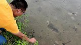 把花露水喷到蚂蟥身体上，3秒后蚂蟥反应强烈，镜头记录全过程