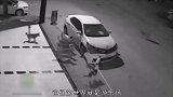 7只狗围堵一辆汽车，车主一踩油门，你猜发生了什么