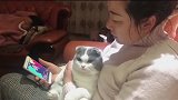 当妈妈不肯养猫之后，猫：你只管带我回家，剩下的交给我