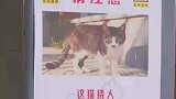 高校校园贴告示猫咪挠人受害者已有8人