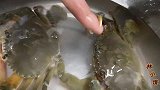 大而肥的螃蟹都清蒸，软壳螃蟹怎么办？倒入两鸡蛋渔民创意做法
