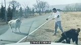这得多大劲啊，头骨都顶碎了