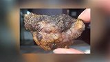 男子野外捡到一块罕见奇石形状奇特像公鸡