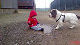 宝宝坐在泥潭里逗狗狗玩，接下来汪星人的举动让宝宝笑疯了