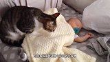 宝宝一口含住猫咪尾巴，猫咪正想发怒，回头见是小主人秒变初恋脸