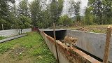 20多条狗总是逃跑，总被周边邻居骂，小伙赶紧给狗场装围栏