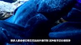龙鳗有多凶猛？即使只剩下一个头，也能轻松咬爆罐装可乐！