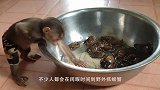 渔夫抓到一只大螃蟹，手指轻轻一压，整个外壳都陷进去了