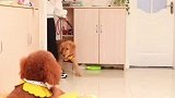 眼见也不一定为实