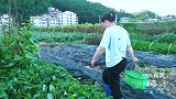 邻居送的鱼，媳妇煮黄瓜鱼汤，这味道太鲜了