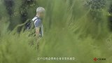 师说：张逸民教授